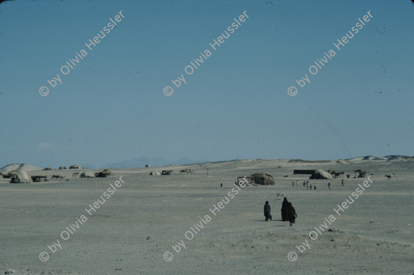 Image of sheet 19823005 photo 7: Aegypten und Sudan mit Jeeps für Eritrea 1982.