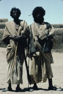 Image of sheet 19823005 photo 73: Aegypten und Sudan mit Jeeps für Eritrea 1982.