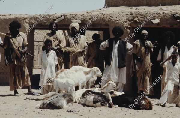 Image of sheet 19823005 photo 79: Aegypten und Sudan mit Jeeps für Eritrea 1982.