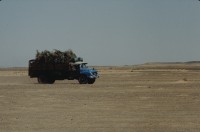 Image of sheet 19823005 photo 87: Aegypten und Sudan mit Jeeps für Eritrea 1982.