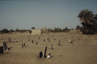 Image of sheet 19823005 photo 89: 1982.