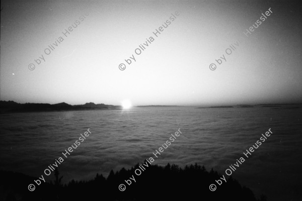 Image of sheet 19830030 photo 4: Elektrizitäts Mast im Zürcher Oberland. Genossenschaftsweg. Volk.
 Sonnenuntergang über Nebelmeer vom Bachtel. Olivia Zeitungslesen. Livia und Cathy Kuchen essen. Schaufenster von Keith Haring in Altstadt. Meine Idee als Reaktion zum Freispruch Zürcher Polizei im Mord von Dani und Michi. Morgenessen Pique Nique im grossen Austellungssaal vom Kunsthaus Gesammtkunstwerk von Harry Harald Szeemann. Securitas weist uns nett weg. WOZ Christoph Schuler.
Keith Haring (May 4, 1958 – February 16, 1990) was an artist and social activist whose work responded to the New York City street culture of the 1980s. By expressing concepts of birth, death, sex and war, Haring's imagery has become a widely recognized visual language of the 20th century.

Kurt Hermann Eduard Karl Julius Schwitters (20 June 1887 – 8 January 1948) was a German painter who was born in Hanover, Germany.

Schwitters worked in several genres and media, including Dada, Constructivism, Surrealism, poetry, sound, painting, sculpture, graphic design, typography and what came to be known as installation art. He is most famous for his collages, called Merz Pictures.
Der Hang zum gesammtkunstwerk
Museum art Kunsthaus Zürich 1983