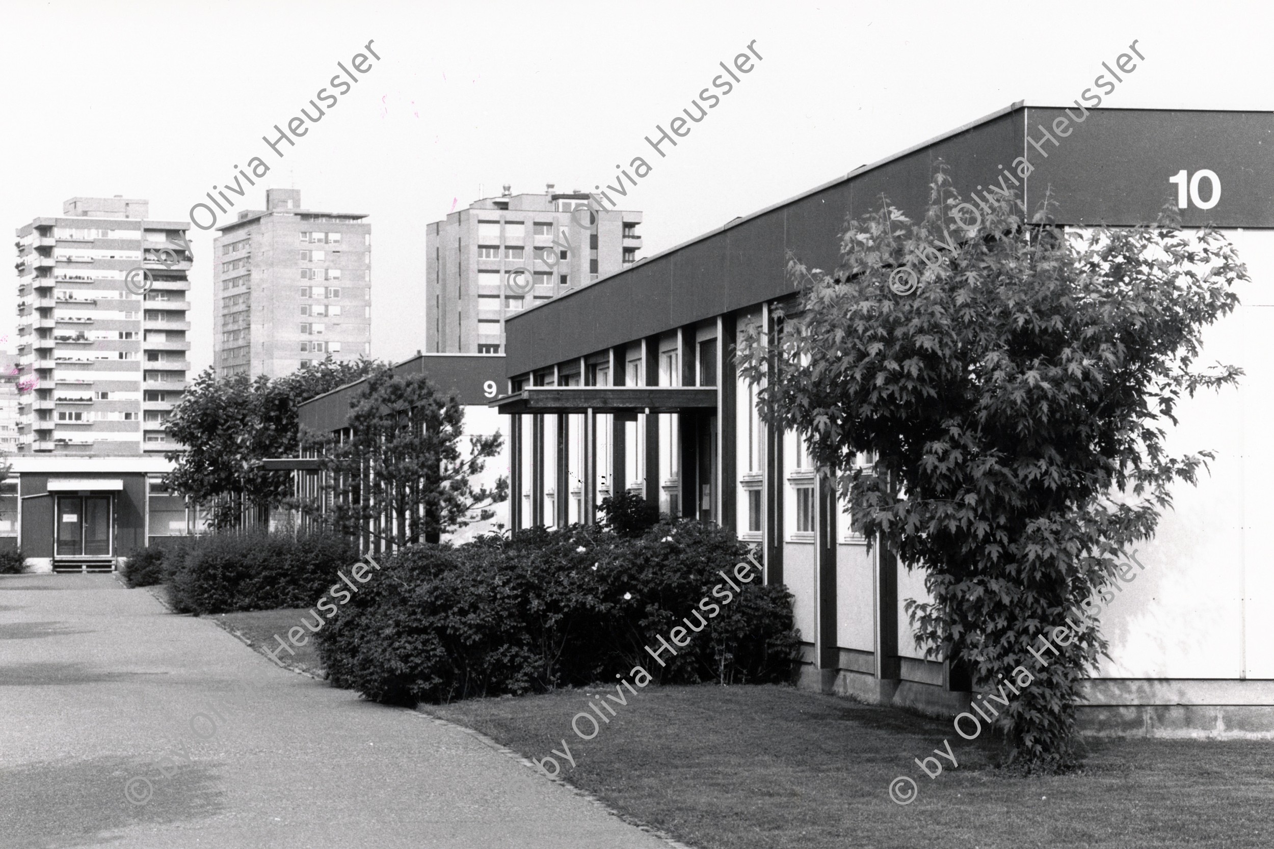 Image of sheet 19830150 photo 28: Kantonsschule Urdorf.  Zürich 1983  Autobahn in Bau an  Schulhaus vorbei. √