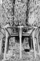 Image of sheet 19830230 photo 2: Enten im Teich bei Murcia. Nachts. Palmen sind mit Eisen befestigt. Portrait Hey Heussler und Ruth Guggenheim- Heussler. Olivia Kirchturmspitz. Fiesta de la Merced Barcelona. Heilige Jungfrau Maria wird durch die Menge getragen. Explosionen von Feuerwerkskörper. Barcelona Spanien 1983
La Mercè (Catalan pronunciation: [ɫə mərˈsɛ]) is the annual festival (festa major in Catalan) of the city of Barcelona in Catalonia, Spain. It has been an official city holiday since 1871, when the local government first organized a program of special activities to observe the Roman Catholic feast day of Our Lady of Mercy, La Mare de Déu de la Mercè in Catalan. Although the actual feast day is September 24, the festivities begin a few days beforehand