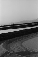 Image of sheet 19830230 photo 20: Enten im Teich bei Murcia. Nachts. Palmen sind mit Eisen befestigt. Portrait Hey Heussler und Ruth Guggenheim- Heussler. Olivia Kirchturmspitz. Fiesta de la Merced Barcelona. Heilige Jungfrau Maria wird durch die Menge getragen. Explosionen von Feuerwerkskörper. Barcelona Spanien 1983
La Mercè (Catalan pronunciation: [ɫə mərˈsɛ]) is the annual festival (festa major in Catalan) of the city of Barcelona in Catalonia, Spain. It has been an official city holiday since 1871, when the local government first organized a program of special activities to observe the Roman Catholic feast day of Our Lady of Mercy, La Mare de Déu de la Mercè in Catalan. Although the actual feast day is September 24, the festivities begin a few days beforehand