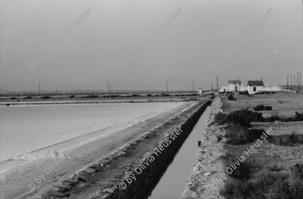 Image of sheet 19830230 photo 21: Enten im Teich bei Murcia. Nachts. Palmen sind mit Eisen befestigt. Portrait Hey Heussler und Ruth Guggenheim- Heussler. Olivia Kirchturmspitz. Fiesta de la Merced Barcelona. Heilige Jungfrau Maria wird durch die Menge getragen. Explosionen von Feuerwerkskörper. Barcelona Spanien 1983
La Mercè (Catalan pronunciation: [ɫə mərˈsɛ]) is the annual festival (festa major in Catalan) of the city of Barcelona in Catalonia, Spain. It has been an official city holiday since 1871, when the local government first organized a program of special activities to observe the Roman Catholic feast day of Our Lady of Mercy, La Mare de Déu de la Mercè in Catalan. Although the actual feast day is September 24, the festivities begin a few days beforehand