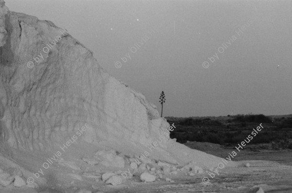 Image of sheet 19830230 photo 23: Enten im Teich bei Murcia. Nachts. Palmen sind mit Eisen befestigt. Portrait Hey Heussler und Ruth Guggenheim- Heussler. Olivia Kirchturmspitz. Fiesta de la Merced Barcelona. Heilige Jungfrau Maria wird durch die Menge getragen. Explosionen von Feuerwerkskörper. Barcelona Spanien 1983
La Mercè (Catalan pronunciation: [ɫə mərˈsɛ]) is the annual festival (festa major in Catalan) of the city of Barcelona in Catalonia, Spain. It has been an official city holiday since 1871, when the local government first organized a program of special activities to observe the Roman Catholic feast day of Our Lady of Mercy, La Mare de Déu de la Mercè in Catalan. Although the actual feast day is September 24, the festivities begin a few days beforehand