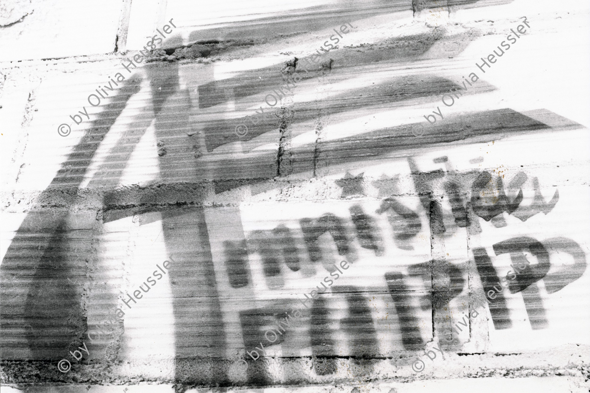 Image of sheet 19830240 photo 29: «Amnistia FAPP» Graffiti Wandmalerei, Barcelona, Spanien 1983.