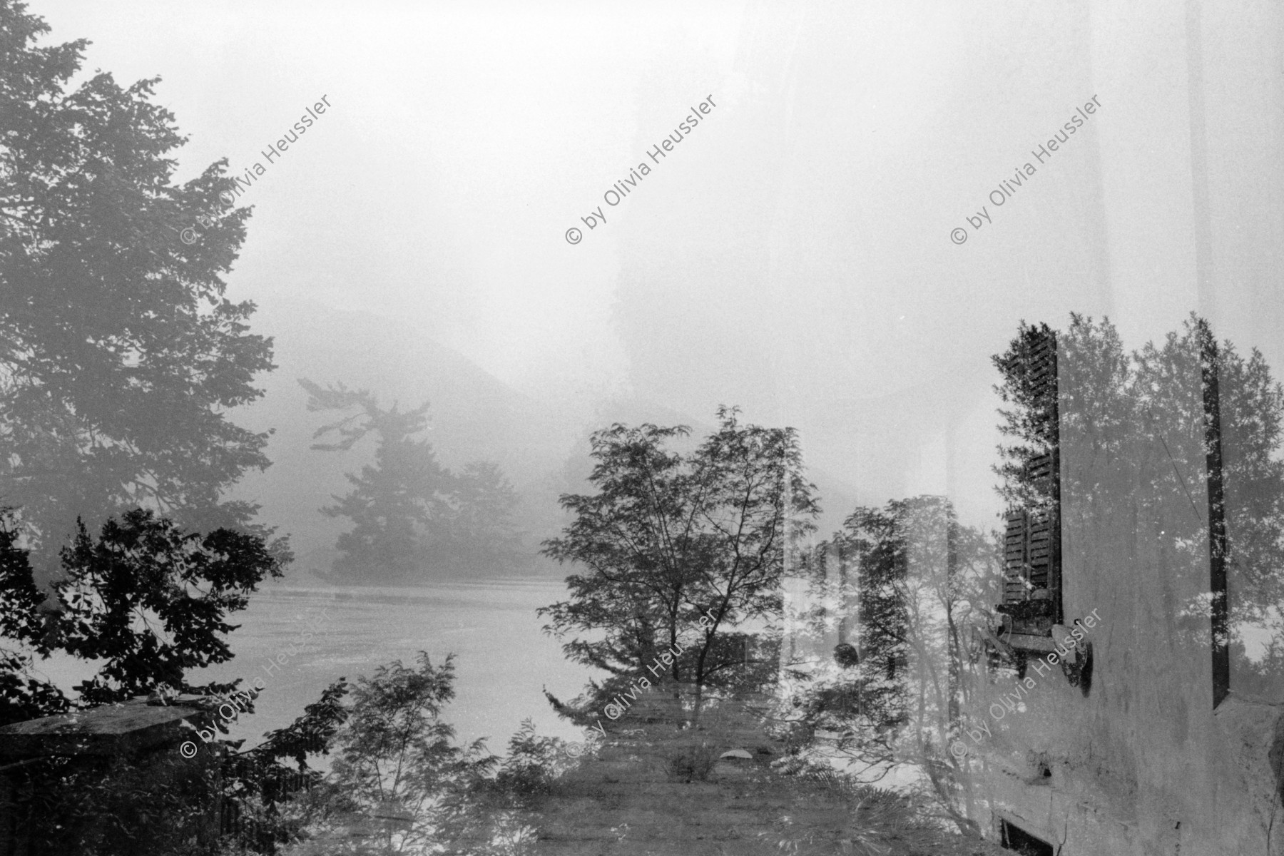 Image of sheet 19830260 photo 31: Villa Baronata, Minusio 1983.
Doppelbelichtung
Svizzera Schweiz Switzerland