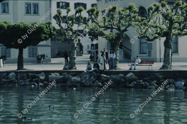 Image of sheet 19833002 photo 21: Wohnhäuser um den Stauffacherplatz am Stauffacher, Kreis 4, Zürich 1983.