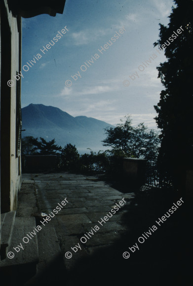 Image of sheet 19833005 photo 1: Baronata Stauffacher