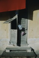 Image of sheet 19833005 photo 7: B