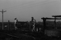 Image of sheet 19840110 photo 12: Schweizer Solidaritäts Brigade in Solentiname. Isla Zapotillo. Boot im See. Wäschebank im See. Vater mit Radio und Knabe. Brigadisten Innen fängt Regen mit Hand auf. Junge besprayt Pferd. Campesino auf Pony mit Rinder. Assentamiento Siedlung. In the house of a settlement for war refugees.
Baseballspieler Baseball Asentamiento Strohhütte Kinder stehen vor Palmwedeln Palmen in Siedlung. Laurel y Galan. (Lorbeer) Machetenschleifen. Adobe haus Hacienda. Einfacher Hausbau in Matagalpa. Nicaragua 1984

Aus: Der Traum von Solentiname/The dream of Solentiname/El sueño de Solentiname