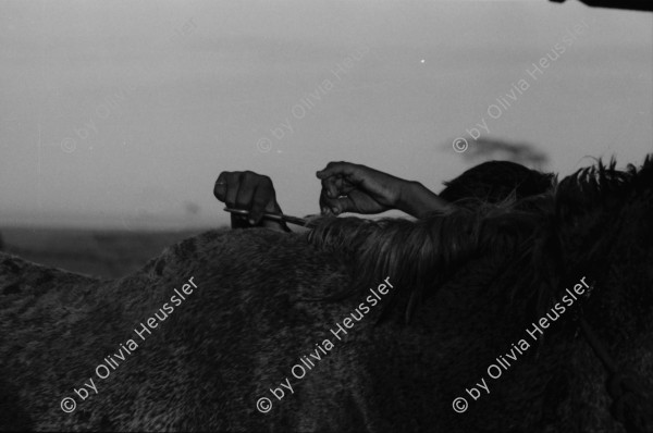 Image of sheet 19840110 photo 14: Schweizer Solidaritäts Brigade in Solentiname. Isla Zapotillo. Boot im See. Wäschebank im See. Vater mit Radio und Knabe. Brigadisten Innen fängt Regen mit Hand auf. Junge besprayt Pferd. Campesino auf Pony mit Rinder. Assentamiento Siedlung. In the house of a settlement for war refugees.
Baseballspieler Baseball Asentamiento Strohhütte Kinder stehen vor Palmwedeln Palmen in Siedlung. Laurel y Galan. (Lorbeer) Machetenschleifen. Adobe haus Hacienda. Einfacher Hausbau in Matagalpa. Nicaragua 1984

Aus: Der Traum von Solentiname/The dream of Solentiname/El sueño de Solentiname