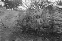 Image of sheet 19840110 photo 19: Kinder in Rio San Juan. Gruppenbild Nicaragua 1984 √
