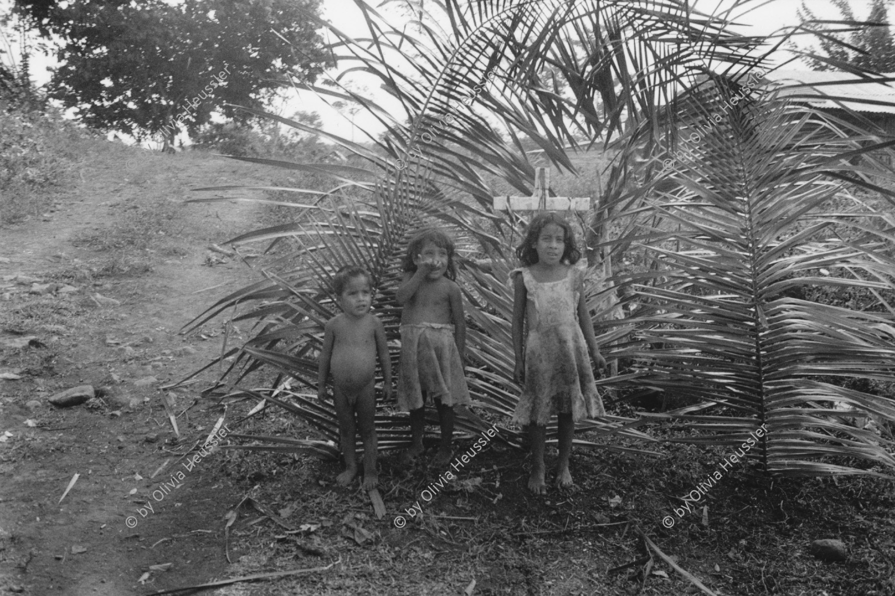 Image of sheet 19840110 photo 19: Kinder in Rio San Juan. Gruppenbild Nicaragua 1984 √