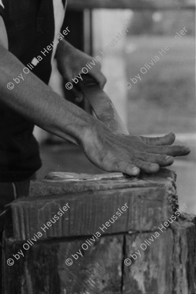 Image of sheet 19840110 photo 29: Schweizer Solidaritäts Brigade in Solentiname. Isla Zapotillo. Boot im See. Wäschebank im See. Vater mit Radio und Knabe. Brigadisten Innen fängt Regen mit Hand auf. Junge besprayt Pferd. Campesino auf Pony mit Rinder. Assentamiento Siedlung. In the house of a settlement for war refugees.
Baseballspieler Baseball Asentamiento Strohhütte Kinder stehen vor Palmwedeln Palmen in Siedlung. Laurel y Galan. (Lorbeer) Machetenschleifen. Adobe haus Hacienda. Einfacher Hausbau in Matagalpa. Nicaragua 1984

Aus: Der Traum von Solentiname/The dream of Solentiname/El sueño de Solentiname