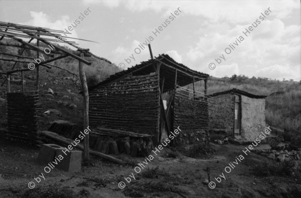 Image of sheet 19840110 photo 34: Schweizer Solidaritäts Brigade in Solentiname. Isla Zapotillo. Boot im See. Wäschebank im See. Vater mit Radio und Knabe. Brigadisten Innen fängt Regen mit Hand auf. Junge besprayt Pferd. Campesino auf Pony mit Rinder. Assentamiento Siedlung. In the house of a settlement for war refugees.
Baseballspieler Baseball Asentamiento Strohhütte Kinder stehen vor Palmwedeln Palmen in Siedlung. Laurel y Galan. (Lorbeer) Machetenschleifen. Adobe haus Hacienda. Einfacher Hausbau in Matagalpa. Nicaragua 1984

Aus: Der Traum von Solentiname/The dream of Solentiname/El sueño de Solentiname