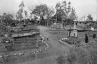 Image of sheet 19840110 photo 35: Schweizer Solidaritäts Brigade in Solentiname. Isla Zapotillo. Boot im See. Wäschebank im See. Vater mit Radio und Knabe. Brigadisten Innen fängt Regen mit Hand auf. Junge besprayt Pferd. Campesino auf Pony mit Rinder. Assentamiento Siedlung. In the house of a settlement for war refugees.
Baseballspieler Baseball Asentamiento Strohhütte Kinder stehen vor Palmwedeln Palmen in Siedlung. Laurel y Galan. (Lorbeer) Machetenschleifen. Adobe haus Hacienda. Einfacher Hausbau in Matagalpa. Nicaragua 1984

Aus: Der Traum von Solentiname/The dream of Solentiname/El sueño de Solentiname