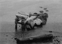Image of sheet 19840110 photo 4: s