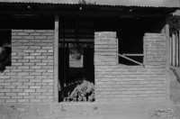 Image of sheet 19840120 photo 2: Handpflug Pflug für den Ackerbau. Siedlungen im Raum Matagalpa. Frauen bauen ihre Häuser. Landschaft. Wiederaufforstungsprogramm Aufforstung der IRENA Biogas anlage mit Kaffeeabfall. Kaffee pflanzen. Sandinisten Plakatwand für politische Propaganda. Prolacsa Tochter der Néstlé. Nido Milchpulver Hersteller in Matagalpa. Arbeiter. Kiste mit Blechdosen Schweizer Brigadist Innen besuchen Cita INRA.
Ackerbau Maschine. Latrinenbau. Letrinen Nicaragua 1984