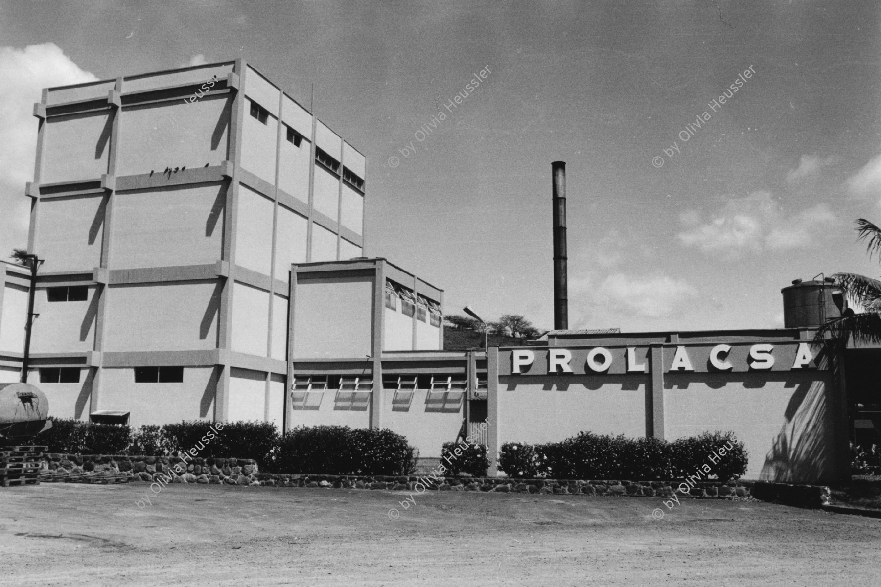 Image of sheet 19840120 photo 20: Die nicaraguanische Milchpulver fabrik Prolacsa ist eine Tochter der Néstlé. Matagalpa 1984 √