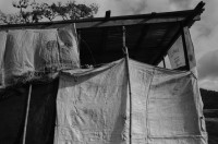 Image of sheet 19840120 photo 3: Handpflug Pflug für den Ackerbau. Siedlungen im Raum Matagalpa. Frauen bauen ihre Häuser. Landschaft. Wiederaufforstungsprogramm Aufforstung der IRENA Biogas anlage mit Kaffeeabfall. Kaffee pflanzen. Sandinisten Plakatwand für politische Propaganda. Prolacsa Tochter der Néstlé. Nido Milchpulver Hersteller in Matagalpa. Arbeiter. Kiste mit Blechdosen Schweizer Brigadist Innen besuchen Cita INRA.
Ackerbau Maschine. Latrinenbau. Letrinen Nicaragua 1984