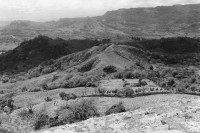 Image of sheet 19840120 photo 9: Die Agrarreform betreut in Matagalpa ein Aufforstungsprogramm. Nicaragua 1984 √