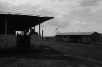 Image of sheet 19840130 photo 1: Schweizer Brigadisten und Brigadistinnen im Zacate ausreissen in der Cooperative
und Landwirtschaftsgenossenschaft La Loma. Campesino sitzungen mit den Bauern. Gewerkschaftssitzungen der ATC Asociacion de Trabajadores del Campo. Machete  Junge reitet auf Pferd um Wasser aus dem Ziehbrunnen zu holen. Hütte und Schwein. Kinder Cowboyhosen Graffitti Wandmalerei Che Guevara. und Kind. Sandino Mural. CDS Mural. Carlos Fonseca Mural Friedhof. Nicaragua Rio San Juan 1984