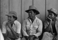 Image of sheet 19840130 photo 10: Schweizer Brigadisten und Brigadistinnen im Zacate ausreissen in der Cooperative
und Landwirtschaftsgenossenschaft La Loma. Campesino sitzungen mit den Bauern. Gewerkschaftssitzungen der ATC Asociacion de Trabajadores del Campo. Machete  Junge reitet auf Pferd um Wasser aus dem Ziehbrunnen zu holen. Hütte und Schwein. Kinder Cowboyhosen Graffitti Wandmalerei Che Guevara. und Kind. Sandino Mural. CDS Mural. Carlos Fonseca Mural Friedhof. Nicaragua Rio San Juan 1984