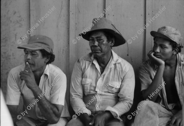 Image of sheet 19840130 photo 10: Schweizer Brigadisten und Brigadistinnen im Zacate ausreissen in der Cooperative
und Landwirtschaftsgenossenschaft La Loma. Campesino sitzungen mit den Bauern. Gewerkschaftssitzungen der ATC Asociacion de Trabajadores del Campo. Machete  Junge reitet auf Pferd um Wasser aus dem Ziehbrunnen zu holen. Hütte und Schwein. Kinder Cowboyhosen Graffitti Wandmalerei Che Guevara. und Kind. Sandino Mural. CDS Mural. Carlos Fonseca Mural Friedhof. Nicaragua Rio San Juan 1984