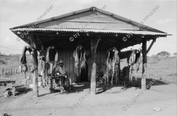 Image of sheet 19840130 photo 17: Cooperative
und Landwirtschaftsgenossenschaft La Loma, Nicaragua Rio San Juan 1984