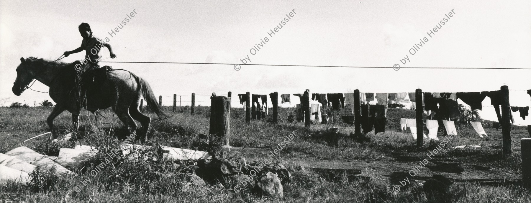 Image of sheet 19840130 photo 18: in der Cooperative
und Landwirtschafts genossenschaft La Loma. Junge reitet auf Pferd um in einem Kübel Wasser aus dem Ziehbrunnen zu ziehen. Nicaragua Rio San Juan 1984 √