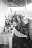 Image of sheet 19840130 photo 2: Schweizer Brigadisten und Brigadistinnen im Zacate ausreissen in der Cooperative
und Landwirtschaftsgenossenschaft La Loma. Campesino sitzungen mit den Bauern. Gewerkschaftssitzungen der ATC Asociacion de Trabajadores del Campo. Machete  Junge reitet auf Pferd um Wasser aus dem Ziehbrunnen zu holen. Hütte und Schwein. Kinder Cowboyhosen Graffitti Wandmalerei Che Guevara. und Kind. Sandino Mural. CDS Mural. Carlos Fonseca Mural Friedhof. Nicaragua Rio San Juan 1984