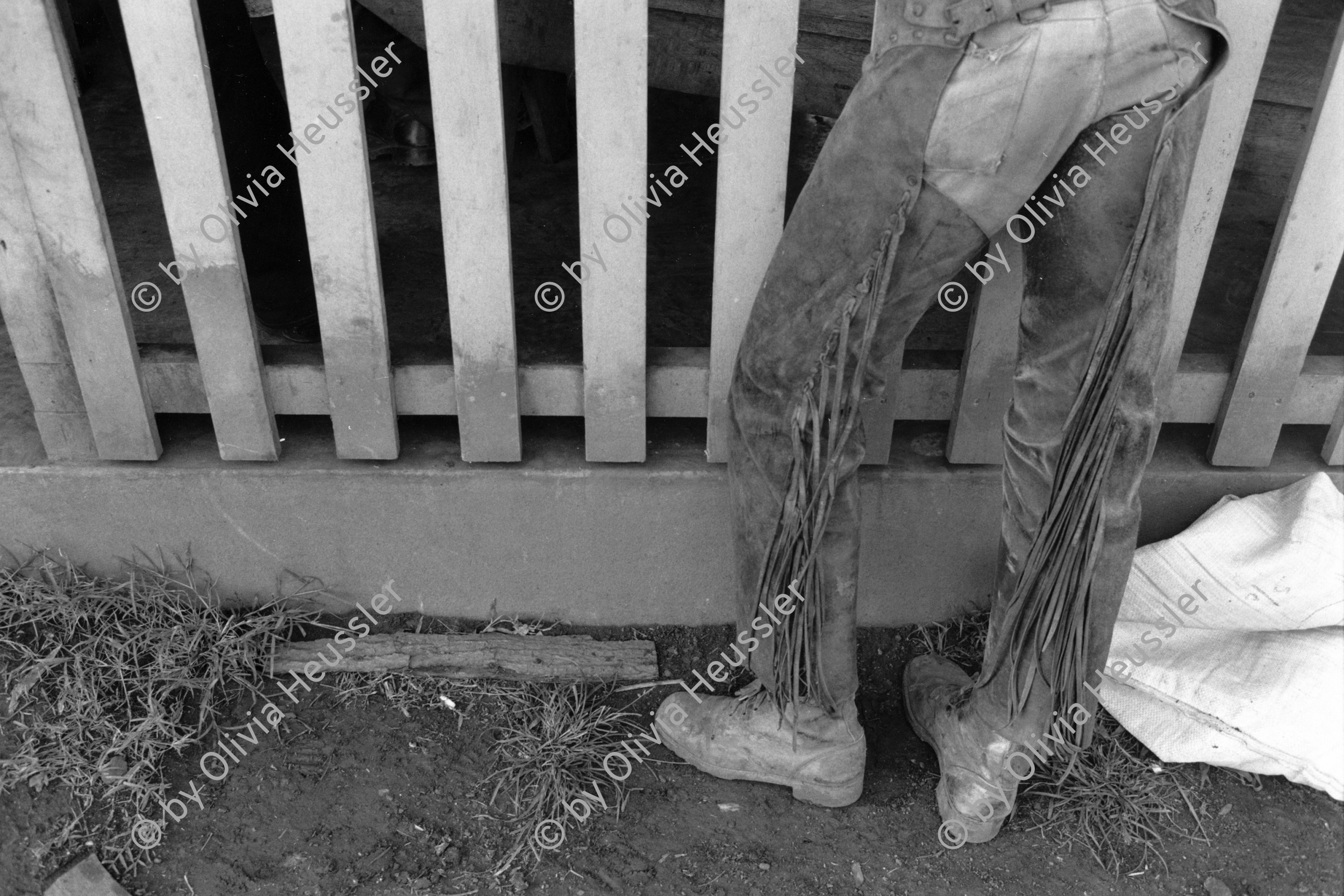 Image of sheet 19840130 photo 26: Landwirtschaftsgenossenschaft La Loma. Campesino Bauern. Gewerkschaftssitzungen der ATC Asociacion de Trabajadores del Campo.  Cowboyhosen. Nicaragua Rio San Juan 1984 √ farmer pant leather pants stiefel Central america Pferde horse