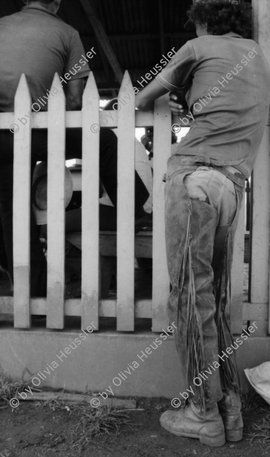 Image of sheet 19840130 photo 27: Schweizer Brigadisten und Brigadistinnen im Zacate ausreissen in der Cooperative
und Landwirtschaftsgenossenschaft La Loma. Campesino sitzungen mit den Bauern. Gewerkschaftssitzungen der ATC Asociacion de Trabajadores del Campo. Machete  Junge reitet auf Pferd um Wasser aus dem Ziehbrunnen zu holen. Hütte und Schwein. Kinder Cowboyhosen Graffitti Wandmalerei Che Guevara. und Kind. Sandino Mural. CDS Mural. Carlos Fonseca Mural Friedhof. Nicaragua Rio San Juan 1984