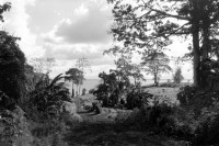Image of sheet 19840140 photo 16: Abendlicht in Solentiname. Isla Zapotillo. Nicaragua