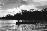 Image of sheet 19840140 photo 37: Abendlicht in Solentiname. Isla Zapotillo. Lago de Nicaragua 03.84 Nicaragua See 1984 √  Central america archipelago nature trees forest lake sweet water boat fisher kid child
© 1984, by OLIVIA HEUSSLER / www.clic.li