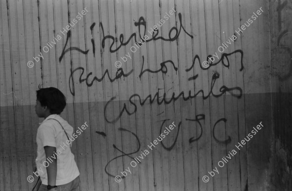 Image of sheet 19840170 photo 30: Mural: Libertad para los Reos Comunistas. Fischerhafen Wasserreservoir von Contra beschädigte Fischerboote. Gabriela Battaglia. Schweizerin arbeitet für APIA und später NZZ
Portrait Fischerei Arbeiterinnen. Jefe und Büro mit Sandino Abbild. Esso Tanks Pacifico Pazifikküste Costa Corinto Nicaragua 1984