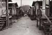 Image of sheet 19840220 photo 19: Strafübung und Züchtigung (Folter) eines Salvadorianischen Soldaten im Militärischen Ausbildungszentrum CREM der US-Militärs in Honduras. El Castillo. 04.84 √
Out of: Der Traum von Solentiname  /  The dream of Solentiname  /  El sueño de Solentiname page 47 Aus: von Zeit zu Zeit Out of: from Time to Time
En el «Centro de Entrenamiento Militar» (CREM) en la costa Atlántica
hondureña soldados estadounidenses instruyen a la Contra y a tropas
salvadoreñas. El Castillo, Dpto. de Colón, Honduras, 1984.
U.S. soldiers train Contras from Nicaragua and troops from El Salvador
at the military training center, Centro de Entrenamiento Militar (CREM),
on the Atlantic coast of Honduras. El Castillo, Dep. Colón, Honduras, 1984 Exhibition