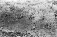 Image of sheet 19840220 photo 28: Im US-Amerikanischen Militär-Ausbildungslager Centro de Entrenamiento Militar (CREM) an der honduranischen Atlantikküste bei El Castillo.  Der neue General Walter Lopez Reyes. Züchtigung Übung Folter. Salvadorianische Soldaten. US-Army Soldaten. Abteilung für salvadorianische Soldaten in Honduras! Instructor Contra Rebels Contras Contrarebellen
mit M-16 Maschinengewehren. Helikopter Flugzeug Ausbildung im
Schiessen mit amerikanischem Instruktor. US-Army Soldaten
Portrait «Soldado lloron»