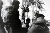 Image of sheet 19840230 photo 25: Männer mit Strohhut hüten und Bananenstauden Früchte Bananen In der offenen Strafanstalt Gefängniss 'La Granja'. Insassen  Nahe Managua Nicaragua Carretera Norte 1984 √ Prison carcel prisoners America central