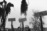 Image of sheet 19840230 photo 35: Politische Häftlinge Contras Rebels zeigen im offenen Gefängnis ihre Gunst zur Besserung mit anti amerikanischen Slogans. La Granja Managua Nicaragua 1984 √
Contra Rebels prison 'Basta de minar los puertos' 
No asesinan a nuestros hijos
fuera yankees fuera traidores 
© 1984, OLIVIA HEUSSLER / www.clic.li