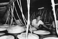Image of sheet 19840300 photo 26: Textilarbeiterin während der Arbeit in der Fabrik Texnica, mit Baumwolle. Managua Nicaragua 05.84 1984 √