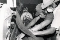 Image of sheet 19840310 photo 3: Webstühle und Textilmaschinen
Die alten Webmaschinen der Texnica. Hier werden Baumwollstoffe fürs Ausland produziert. Managua Nicaragua 1984 √ weaving work worker factory machine
© 1984, OLIVIA HEUSSLER / www.clic.li