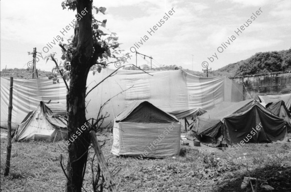 Image of sheet 19840320 photo 20: Ein kleiner Zirkus. Nicaragua 1984