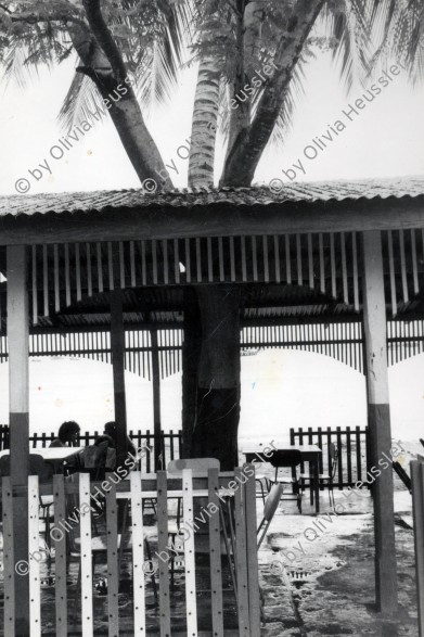 Image of sheet 19840320 photo 7: Palme steht in einem Restaurant am Meer und ragt aus dem Blechdach. San Juan del Sur. Nicaragua 1984 √