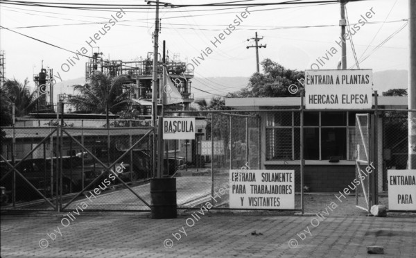 Image of sheet 19840370 photo 15: In der Hercasa Hercules de Centroamerica wird noch Hexachlorocyklohexan (?) ein giftiges Pestizid, dass in Europa und den USA verboten ist, hergestellt. Die Abwasser führen direkt in den Managuasee und tragen zu seiner Verschmutzung bei. Der See ist in hohem Masse mit Quecksilber verunreinigt. Für Tages-Anzeiger. Uebersicht. Seeufer Portrait Kristina Konrad. Filmerin. Film. Autorin von Cada Dia Historia Managua Nicaragua 1984