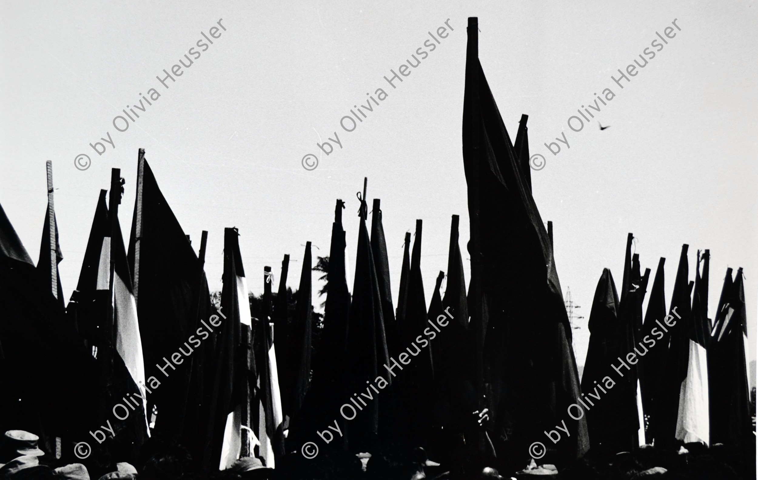 Image of sheet 19840430 photo 29: Tausende feiern den 5. Jahrestag der sandinistischen Revolution. Fahne.  Im Hintergrund Fahnen. flags
Sandinisten Sandinist Managua Nicaragua 1984 America central Fest