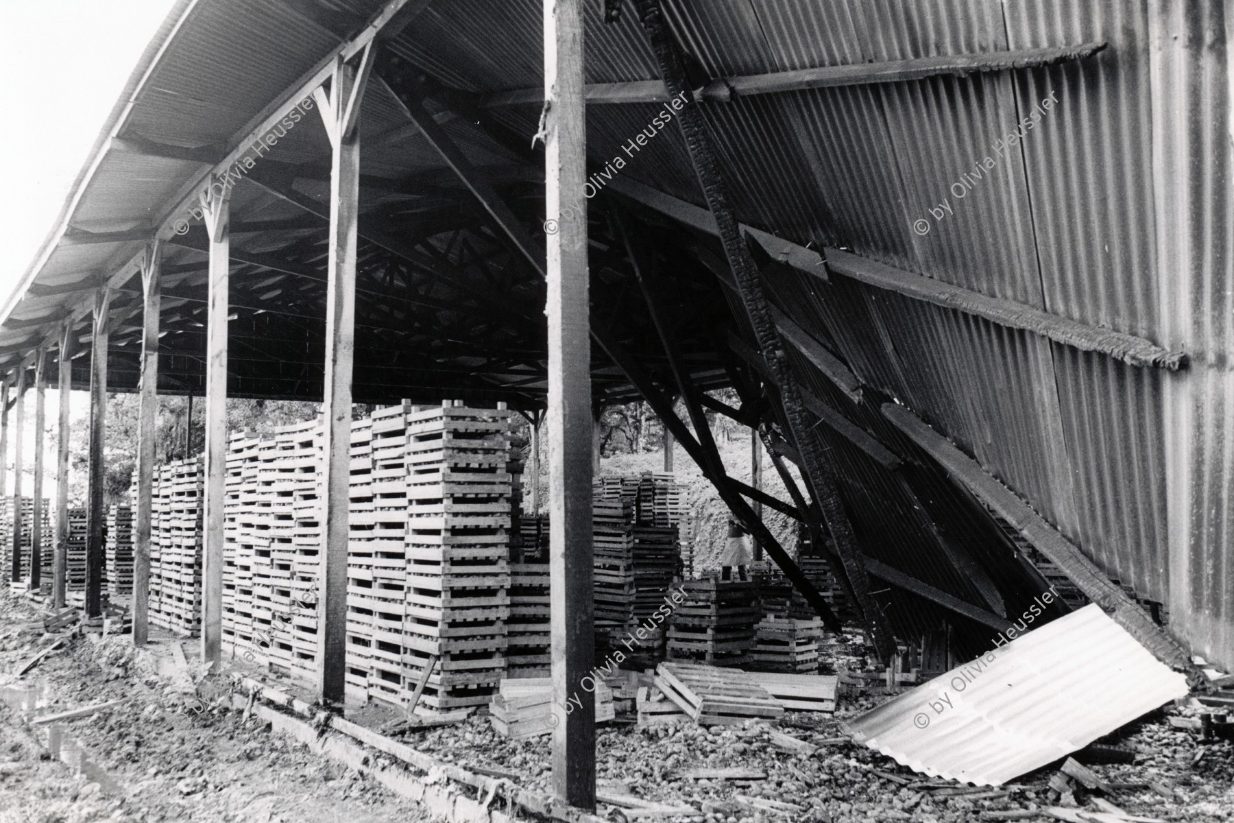 Image of sheet 19840480 photo 5: In El Viejo Miraflores wurde die Kartoffel-Kooperative von Contra rebellen angegriffen und  zerstört. Taiacara am 13.7. 1984 16 Mio Crdbs Schaden durch Contraangriff 27 km von Esteli entfernt. Nicaragua 1984 √ America central
creates harasse boxes roof 
El Viejo, in Miraflores was the potato cooperative and attacked and destroyed by Contra rebels 
attack Anti sandinista